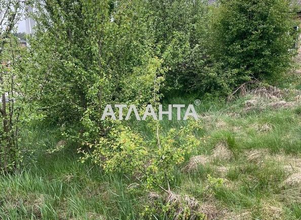 Landplot by the address st. Kirpy G (area 7 acr) - Atlanta.ua - photo 5