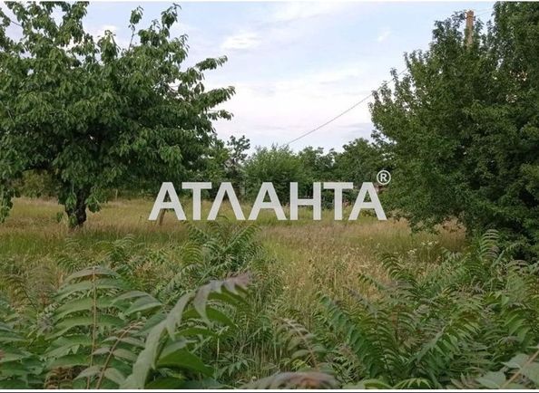 Landplot by the address st. Suvorova (area 15,3 acr) - Atlanta.ua - photo 5