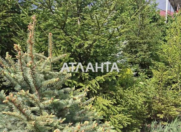 Ділянка за адресою вул. Комарова (площа 5,5 сот) - Atlanta.ua - фото 4