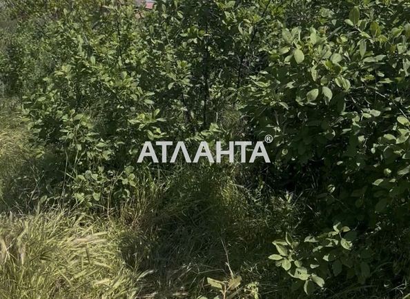 Landplot by the address st. Svetlaya (area 5 acr) - Atlanta.ua - photo 4