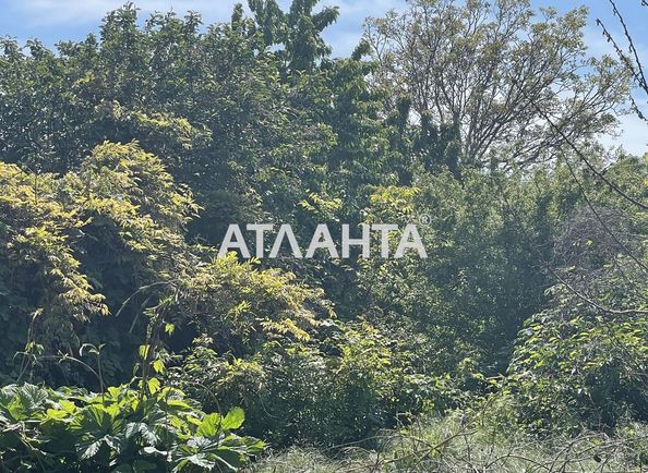 Landplot by the address (area 4,5 acr) - Atlanta.ua - photo 3