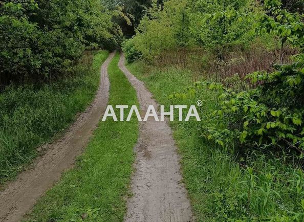 Landplot by the address st. Ozernaya (area 25 acr) - Atlanta.ua - photo 4