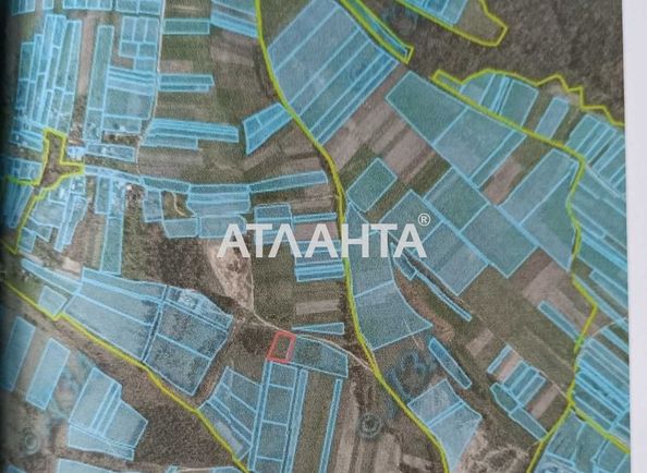 Landplot by the address st. Ozernaya (area 25 acr) - Atlanta.ua - photo 3