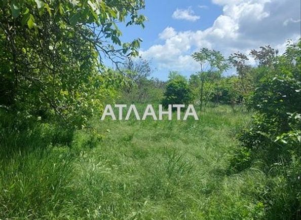 Landplot by the address st. Korovitskogo prof (area 16,5 acr) - Atlanta.ua - photo 11