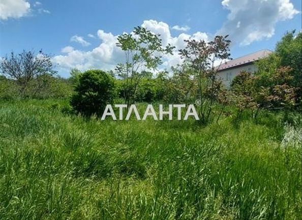 Landplot by the address st. Korovitskogo prof (area 16,5 acr) - Atlanta.ua - photo 12
