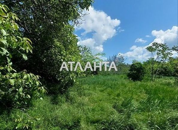 Landplot by the address st. Korovitskogo prof (area 16,5 acr) - Atlanta.ua - photo 13