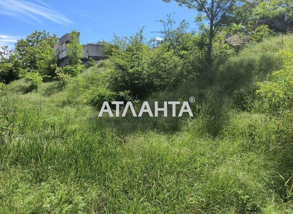 Landplot by the address st. Primorskaya Pionerskaya (area 10 acr) - Atlanta.ua - photo 3