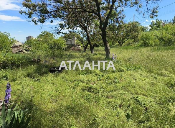 Landplot by the address st. Primorskaya Pionerskaya (area 10 acr) - Atlanta.ua - photo 5