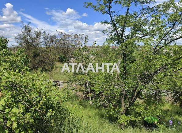 Landplot by the address st. Primorskaya Pionerskaya (area 10 acr) - Atlanta.ua - photo 6