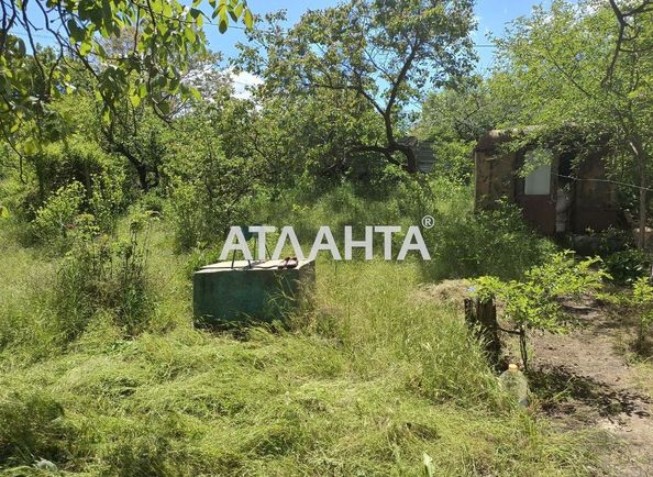 Landplot by the address st. Primorskaya Pionerskaya (area 10 acr) - Atlanta.ua - photo 9