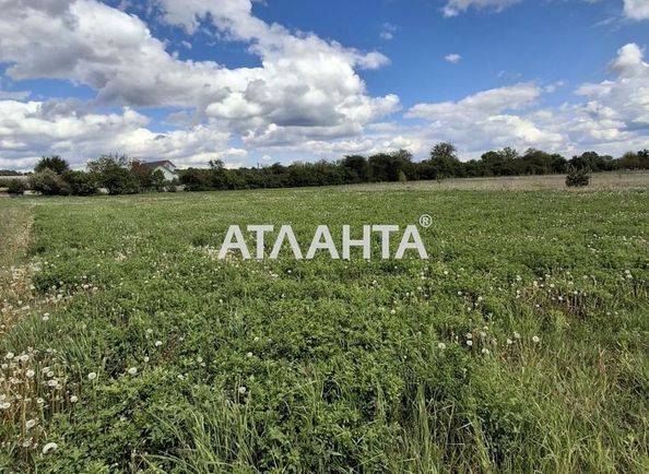 Участок по адресу ул. Соборная (площадь 10 сот) - Atlanta.ua