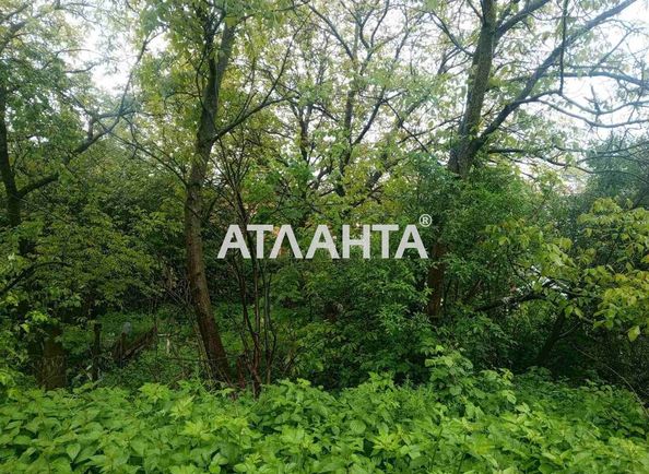 Landplot by the address st. Zamarstynovskaya ul (area 6,7 acr) - Atlanta.ua - photo 6
