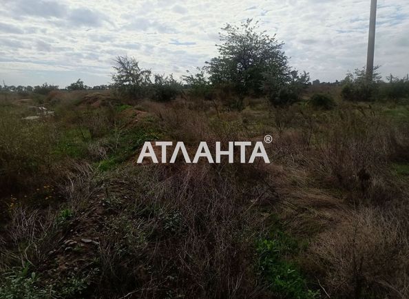 Landplot by the address (area 10 acr) - Atlanta.ua - photo 2
