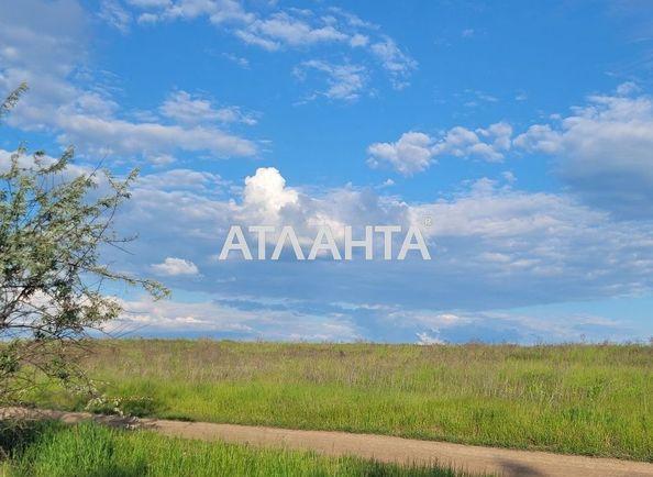 Landplot by the address (area 9999 acr) - Atlanta.ua - photo 3