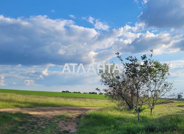Landplot by the address (area 9999 acr) - Atlanta.ua - photo 2