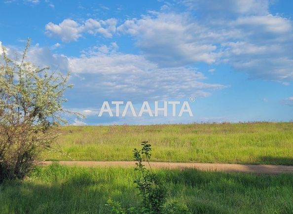 Landplot by the address (area 9999 acr) - Atlanta.ua - photo 5