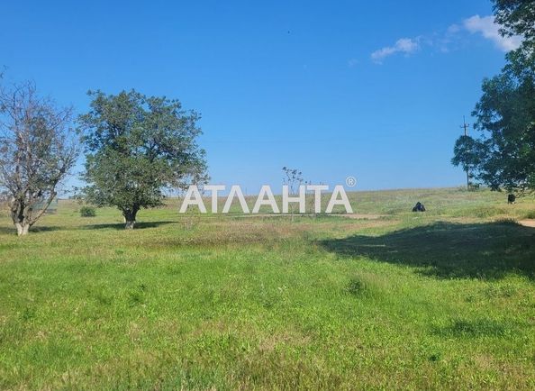 Landplot by the address (area 9999 acr) - Atlanta.ua - photo 7