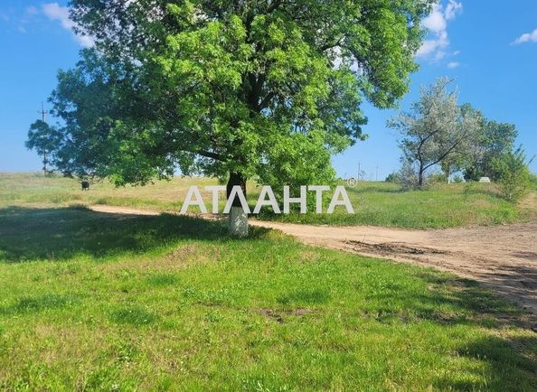 Landplot by the address (area 9999 acr) - Atlanta.ua - photo 6