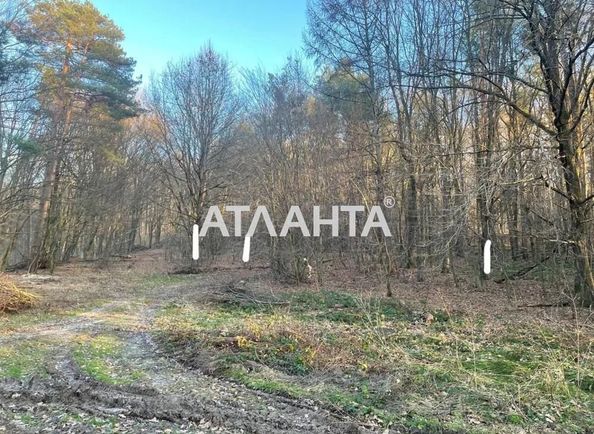 Участок по адресу ул. Центральная (площадь 7,5 сот) - Atlanta.ua