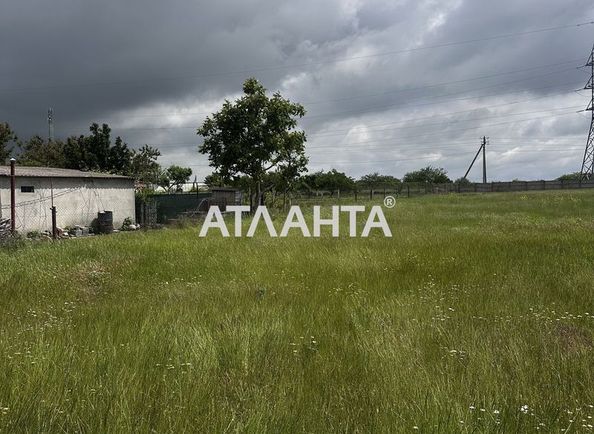 Landplot by the address st. Mira (area 20 acr) - Atlanta.ua - photo 7