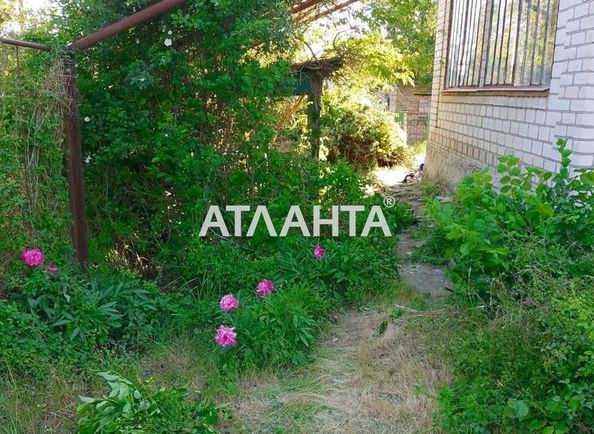Landplot by the address (area 6 acr) - Atlanta.ua - photo 5