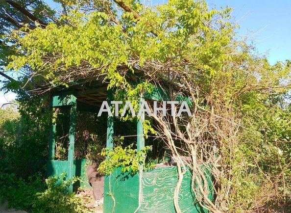 Landplot by the address (area 6 acr) - Atlanta.ua - photo 6