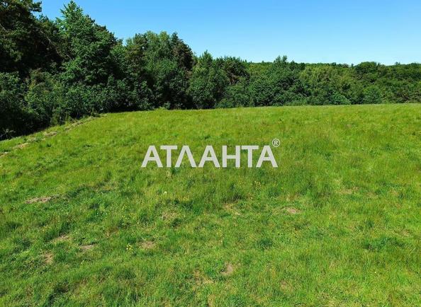 Участок по адресу ул. Солнечная (площадь 32 сот) - Atlanta.ua
