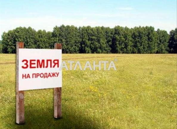 Landplot by the address st. Shkolnaya (area 15 acr) - Atlanta.ua - photo 4