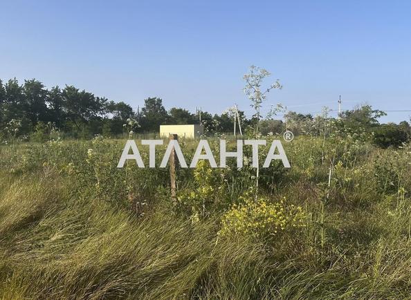 Landplot by the address st. Novaya (area 9,7 acr) - Atlanta.ua - photo 4