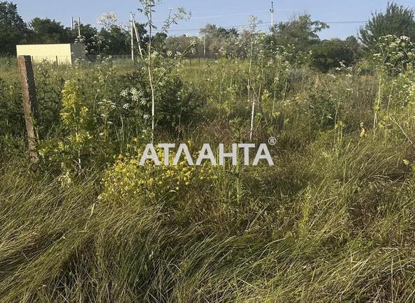 Landplot by the address st. Novaya (area 9,7 acr) - Atlanta.ua - photo 5