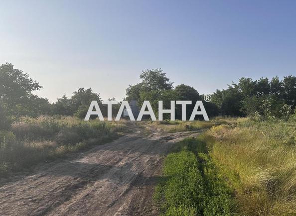 Landplot by the address st. Novaya (area 9,7 acr) - Atlanta.ua - photo 6
