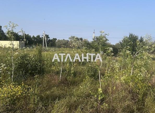Landplot by the address st. Novaya (area 9,7 acr) - Atlanta.ua - photo 10
