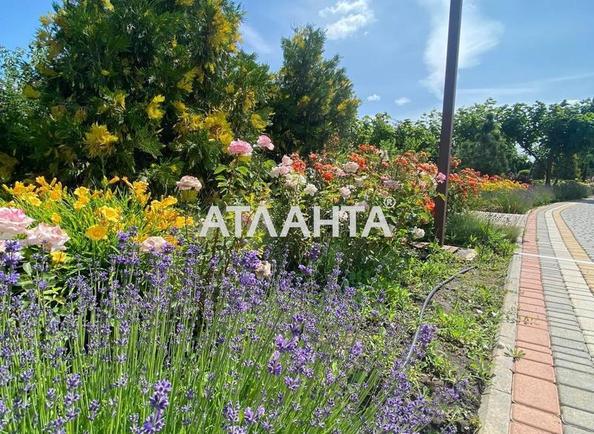 Landplot by the address st. Edem (area 6 acr) - Atlanta.ua - photo 8