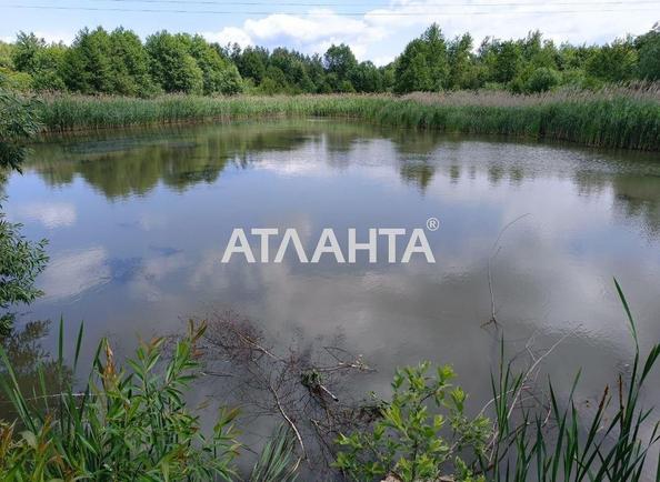 Ділянка за адресою вул. Незалежності (площа 200 сот) - Atlanta.ua - фото 4