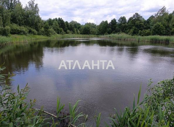 Ділянка за адресою вул. Незалежності (площа 200 сот) - Atlanta.ua - фото 5