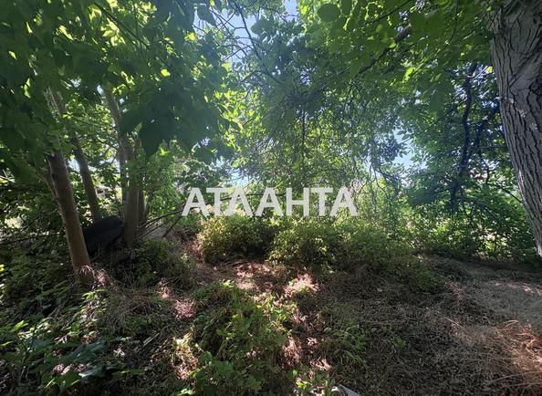 Участок по адресу ул. Огренича Николая (площадь 24 сот) - Atlanta.ua - фото 13