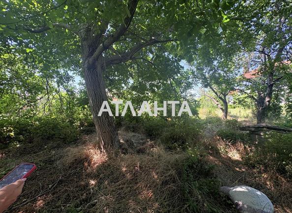 Участок по адресу ул. Огренича Николая (площадь 24 сот) - Atlanta.ua - фото 9