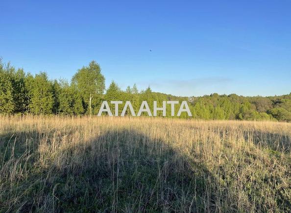 Участок по адресу ул. Центральная (площадь 25 сот) - Atlanta.ua