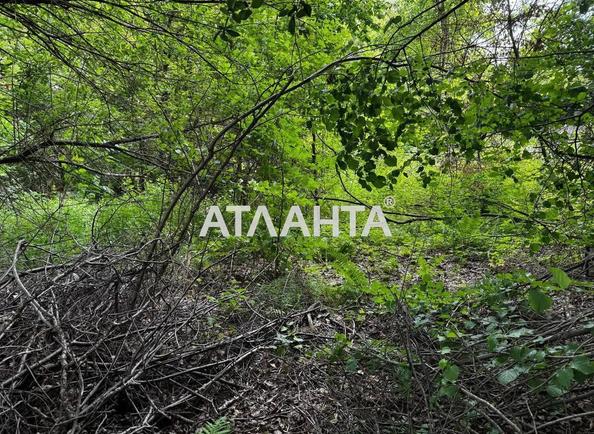 Landplot by the address st. Tsentralnaya (area 5,7 acr) - Atlanta.ua - photo 2