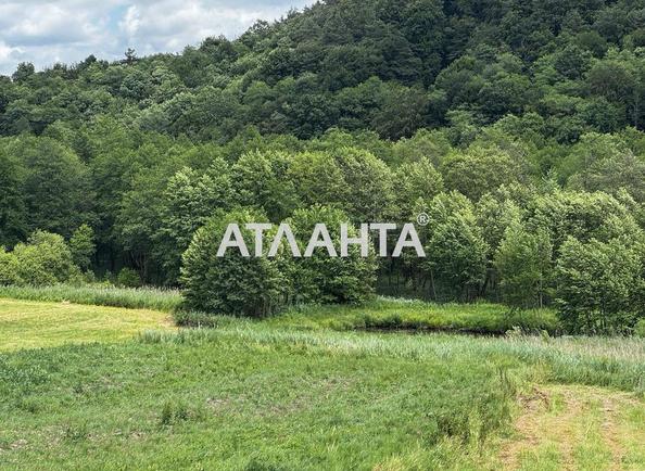 Landplot by the address st. Bridok (area 15 acr) - Atlanta.ua - photo 4