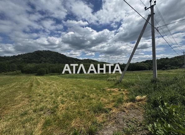 Landplot by the address st. Bridok (area 15 acr) - Atlanta.ua - photo 6