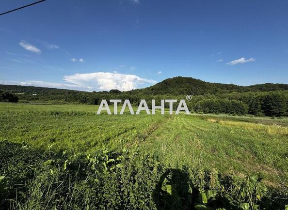 Landplot by the address st. Bridok (area 15 acr) - Atlanta.ua - photo 4
