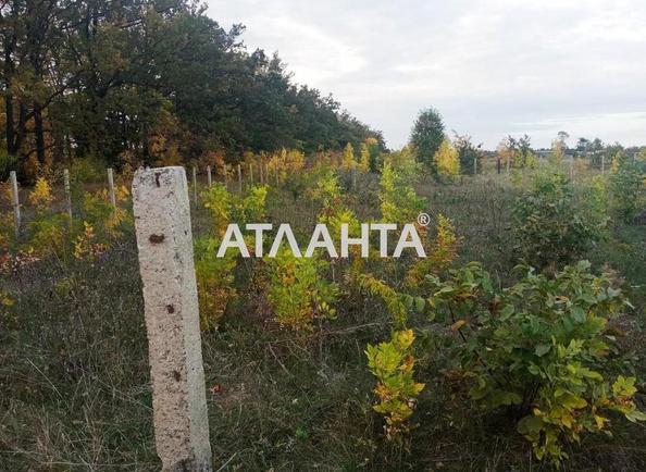 Landplot by the address (area 11,6 acr) - Atlanta.ua