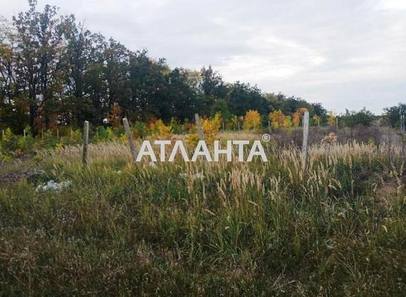 Landplot by the address (area 11,6 acr) - Atlanta.ua - photo 3