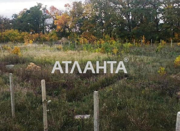 Landplot by the address (area 11,6 acr) - Atlanta.ua - photo 4