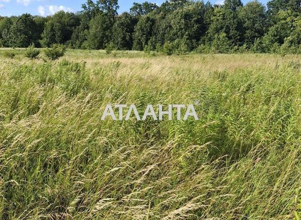 Участок по адресу (площадь 20 сот) - Atlanta.ua
