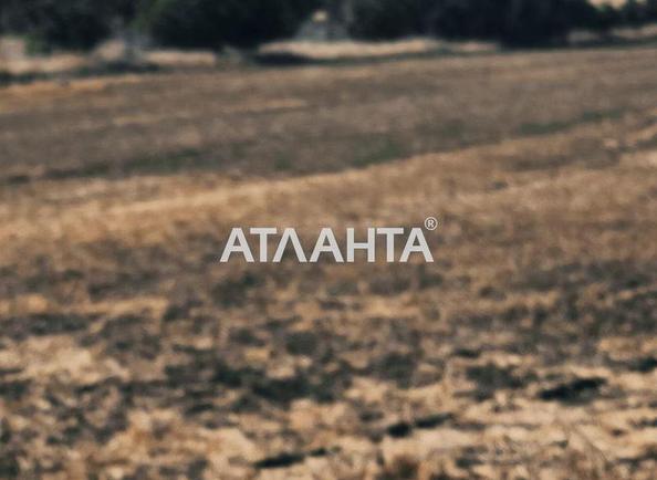 Участок по адресу (площадь 5 сот) - Atlanta.ua - фото 6