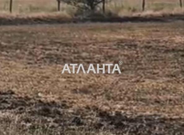 Участок по адресу (площадь 5 сот) - Atlanta.ua - фото 9