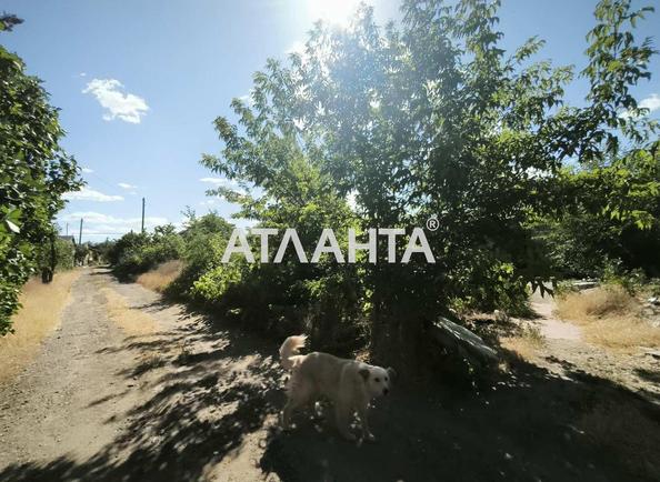 Landplot by the address (area 9,8 acr) - Atlanta.ua - photo 2