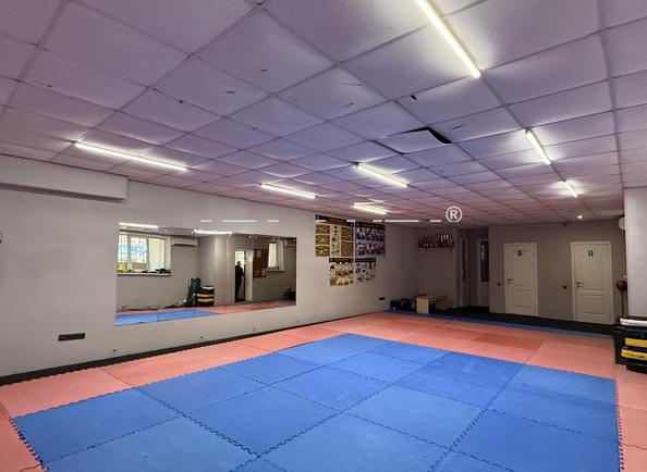 Коммерческая недвижимость по адресу ул. Костанди (площадь 97 м²) - Atlanta.ua - imageAlt 3